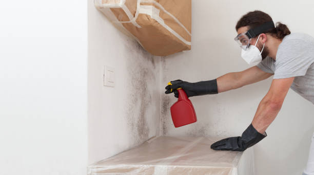 Professional Basement Mold Removal technician working in Teterboro, NJ