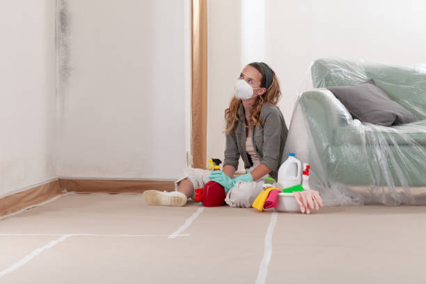 Reliable Basement Mold Removal contractor in Teterboro, NJ by WQB Mold Removal